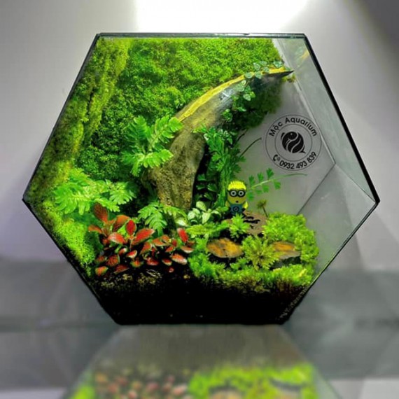 TERRARIUM